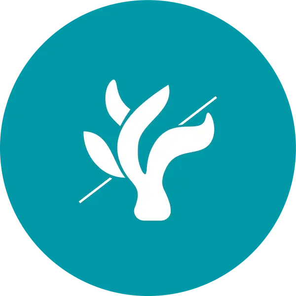 Carrageenan_free icon